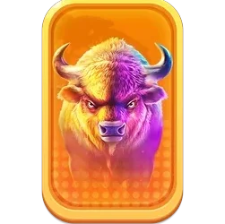 Buffalo
King